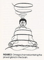 FIGURE 2: Omega channels entering the pineal gland in the brain.